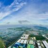 kcn đồ sơn hải phòng