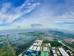 kcn đồ sơn hải phòng
